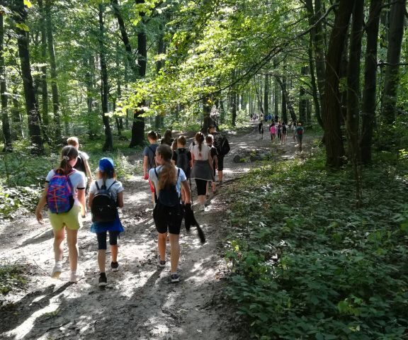 Grupa młodzieży maszeruje leśną drogą, po obu jej stronach drzewa