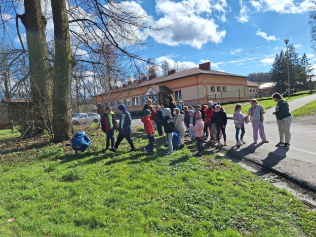 Dzieci z klas I-III na wiosennym spacerze, obserwują wiosenne kwiaty