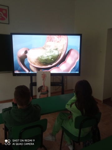 Uczniowie siedzą w ławkach i obserwują film przedstawiający działanie układu pokarmowego człowieka